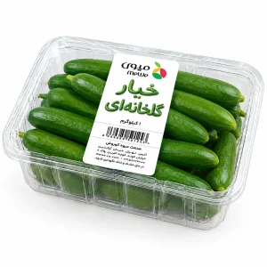 خیار گلخانه ای